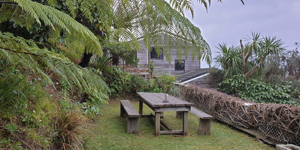 Hedge Trimming Kapiti Maintenance Gardener Porirua, Whitby
