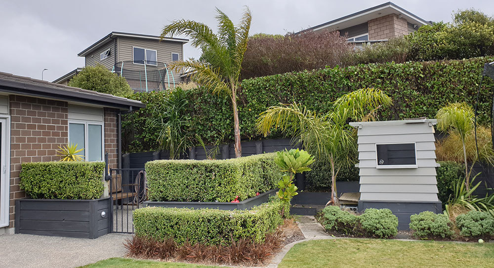Hedge Trimming Kapiti Maintenance Gardener Porirua, Whitby