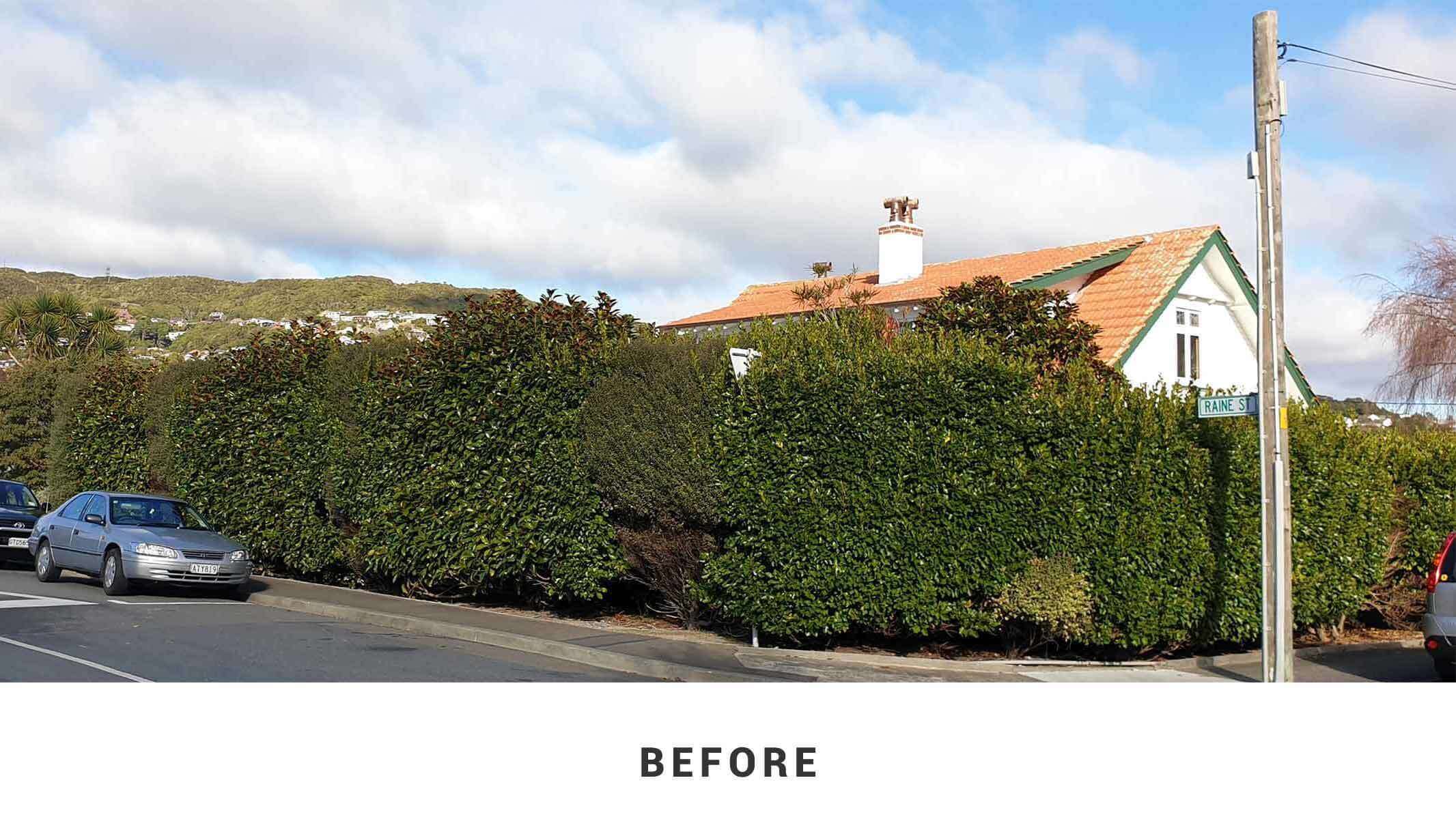 Hedge Trimming Kapiti Maintenance Gardener Porirua, Whitby