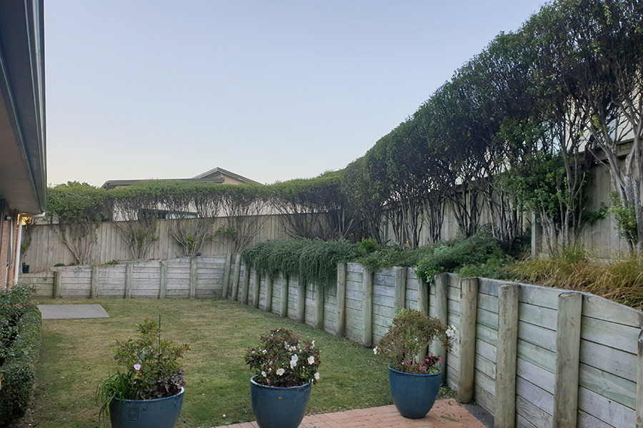Hedge Trimming Kapiti Maintenance Gardener Porirua, Whitby