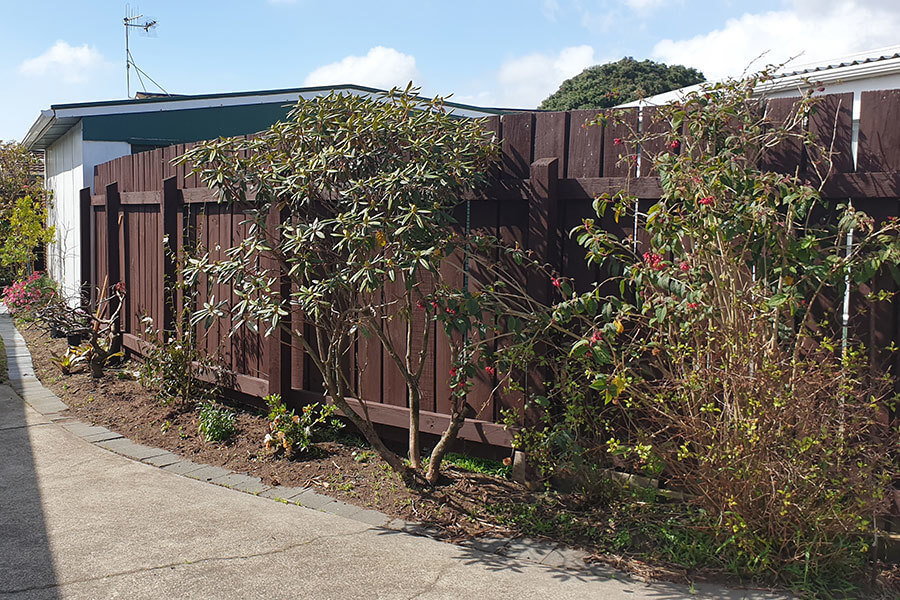 Hedge Trimming Kapiti Maintenance Gardener Porirua, Whitby